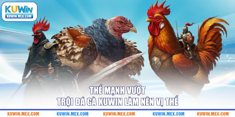 Thế mạnh vượt trội đá gà KUWIN làm nên vị thế 